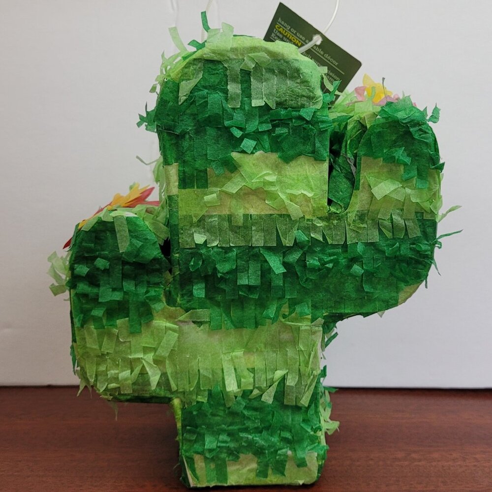 NWT Mini Cactus Pinata